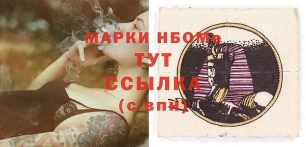 стаф Аркадак