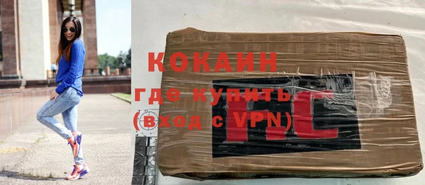 стаф Аркадак
